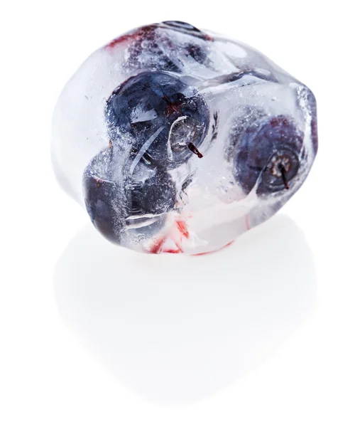 Blåbär (lingon) i smältande is kub, isolerade — Stockfoto