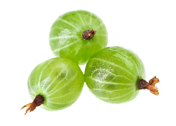 Tři plody angreštu izolovaných na bílém makro — Stock fotografie