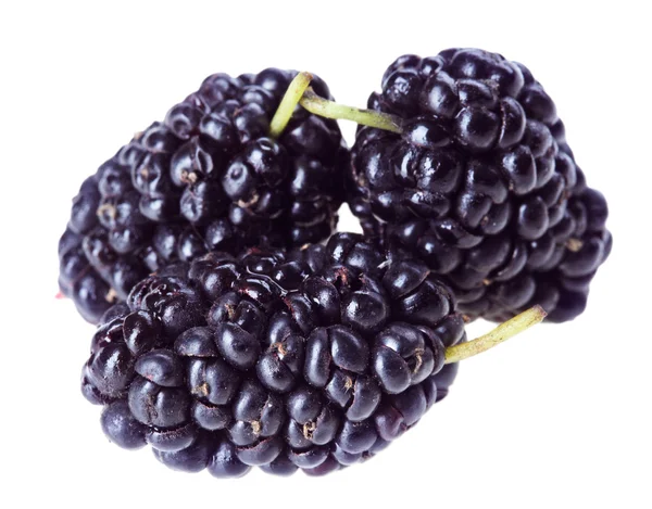 Tre mulberry frukter isolerad på vita makro — Stockfoto