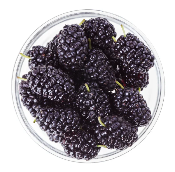 Μαύρη Μουριά φρούτα σε διαφανές γυαλί, που απομονώνονται σε λευκό ma — Φωτογραφία Αρχείου