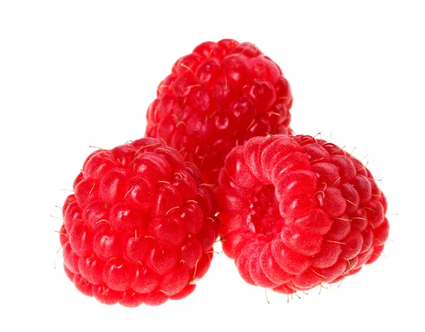 Tres frutas rojas maduras de frambuesa, aisladas en macro blanco —  Fotos de Stock