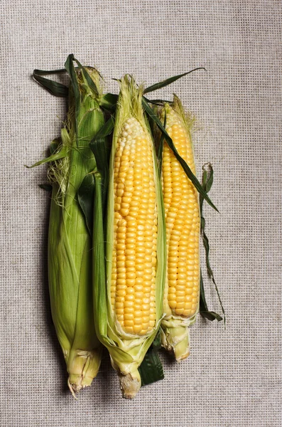 Bodegón con tres espigas de maíz indias sobre lienzo de lino gris —  Fotos de Stock