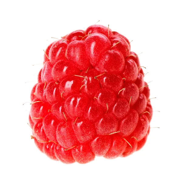 Uma fruta de framboesa madura vermelha, isolada na macro branca — Fotografia de Stock