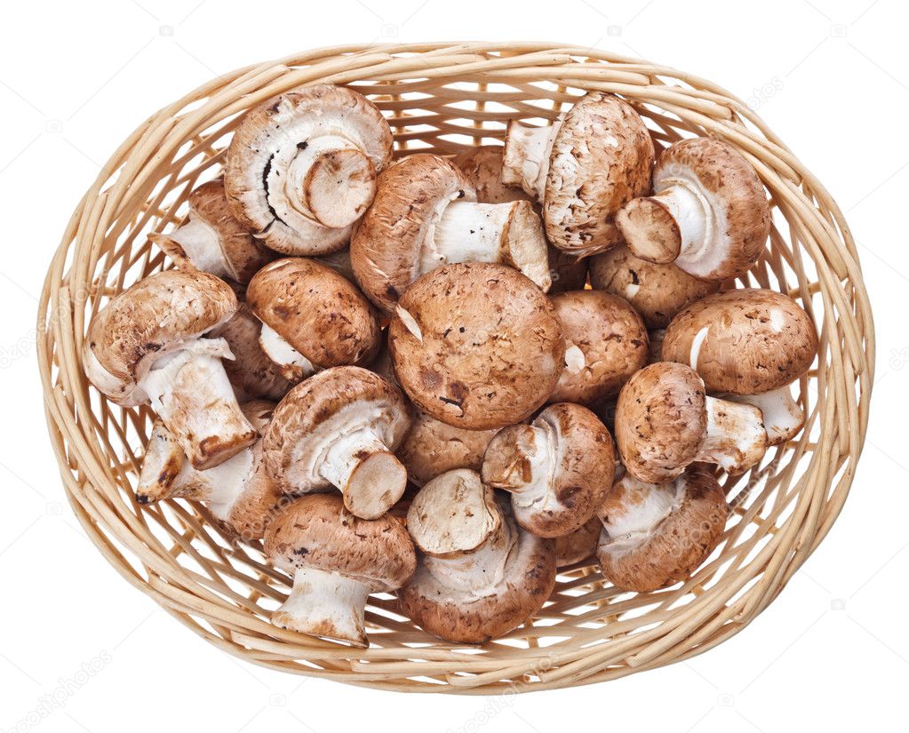 Brown champignon mushrooms in wicker wooden basket, isolated on