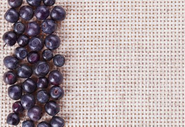 Many bilberry fruits, on gray linen table cloth with copy space clipart