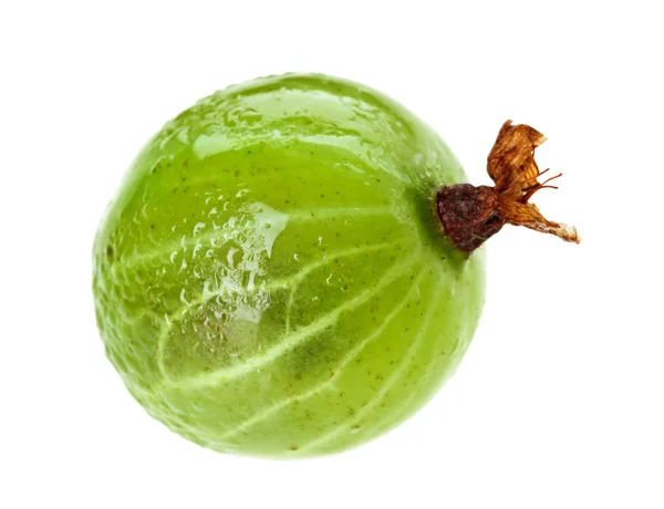 흰색 매크로에 고립 된 한 베리 과일 — 스톡 사진
