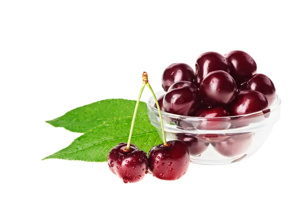 Stilleven met paar rode natte cherry vruchten op de stam en glas b — Stockfoto