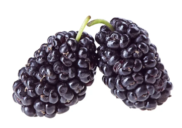 Twee mulberry vruchten op witte macro geïsoleerd — Stockfoto