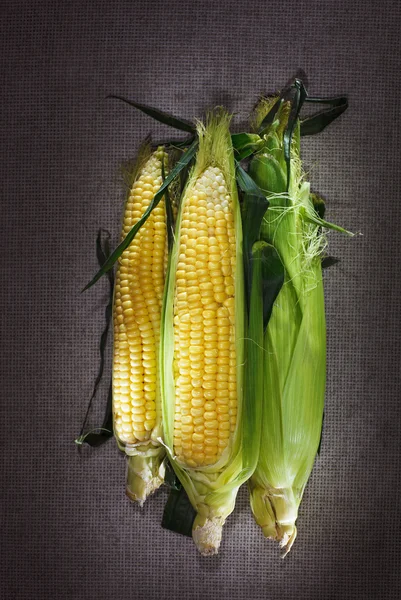 Натюрморт з трьома індійськими кукурудзяними вухами на сірому лляному полотні — стокове фото