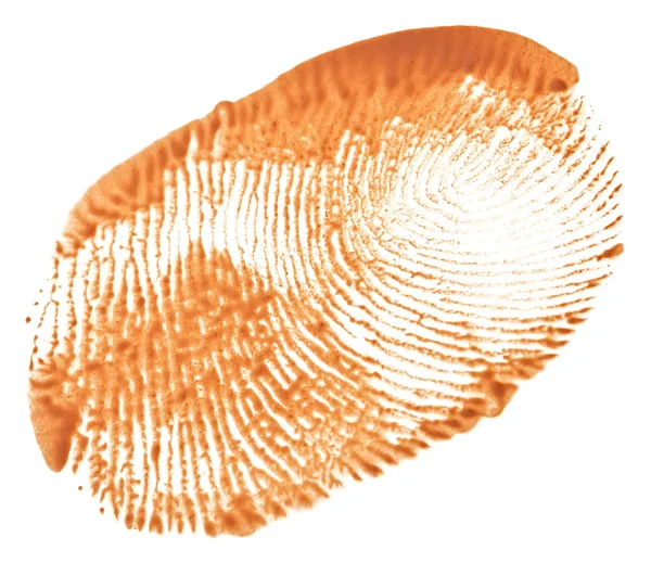 Beige tone cream (foundation) makeup fingerprint, isolated on wh — Stock Photo, Image
