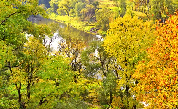 Prachtige veelkleurige herfst panorama — Stockfoto