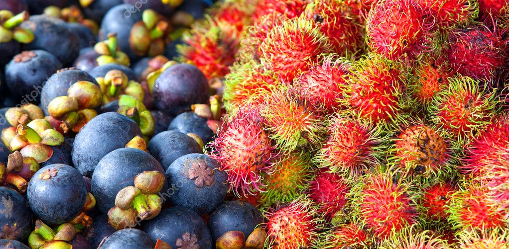 Rambutan and Mangosteen Stock Photo by ©balaikin 6488405