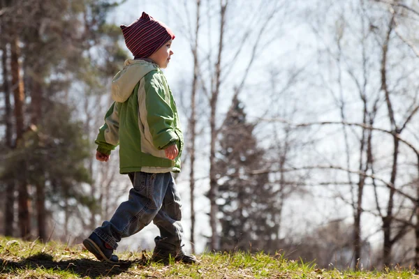 Dítě chůze lesní — Stock fotografie