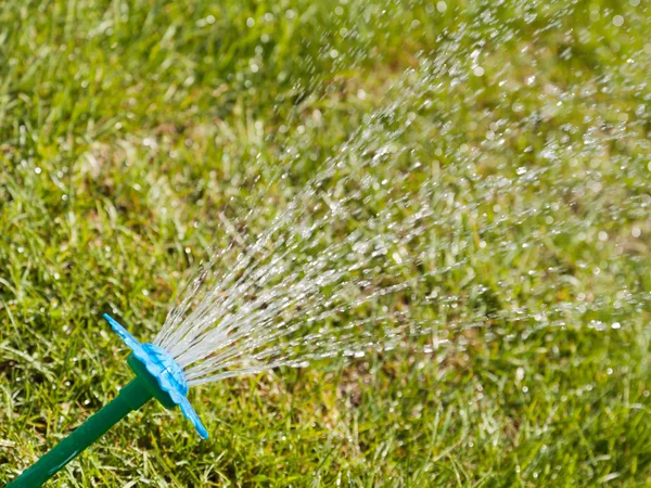 Water sprinkler op groen gras — Stockfoto