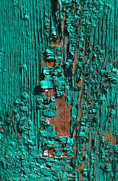 Fond vert, peinture pelante sur un vieux mur — Photo