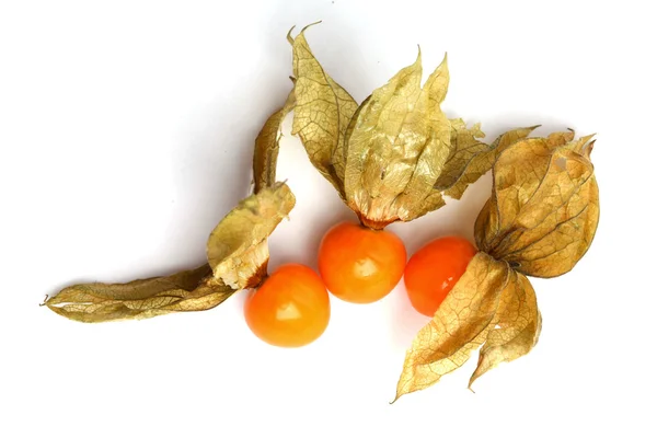 stock image Physalis isolated on white