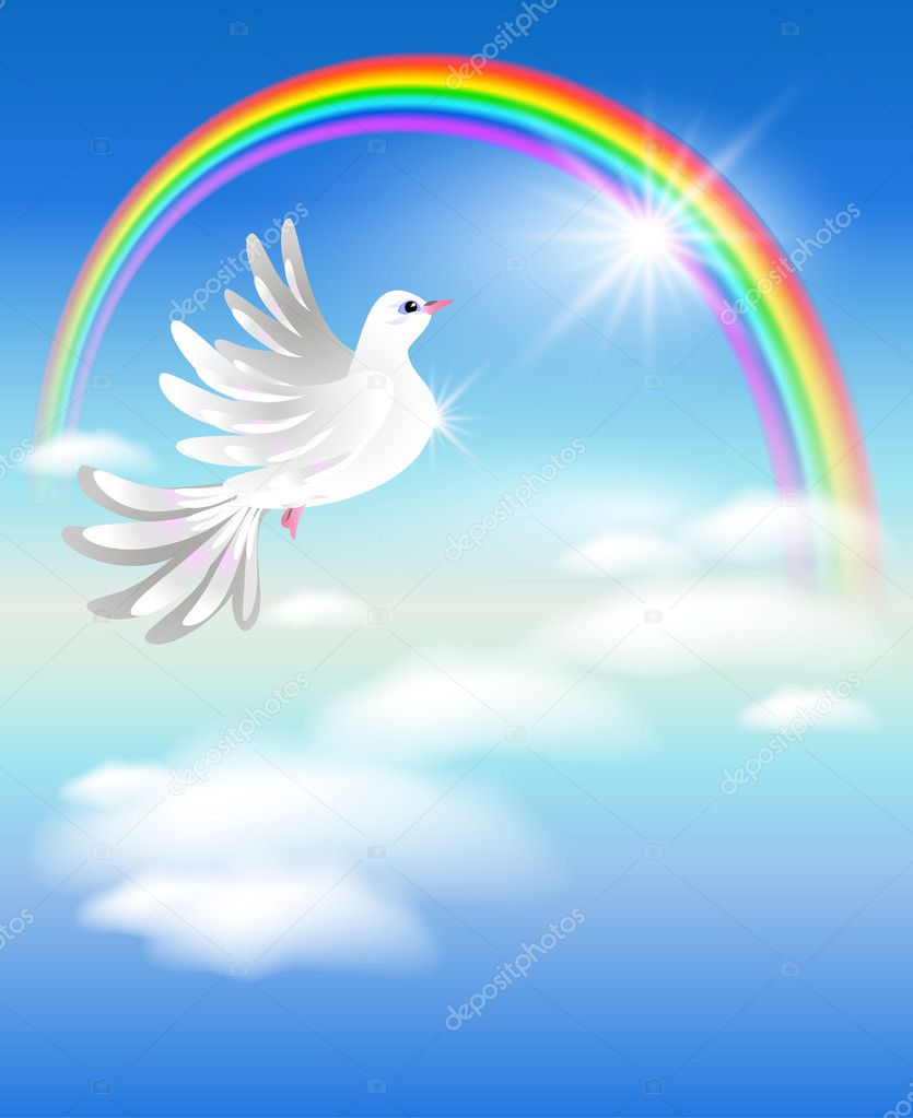 Pigeon and rainbow