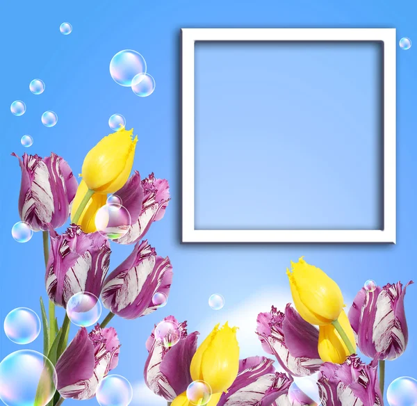Tulips and photo frame — Stock Photo, Image