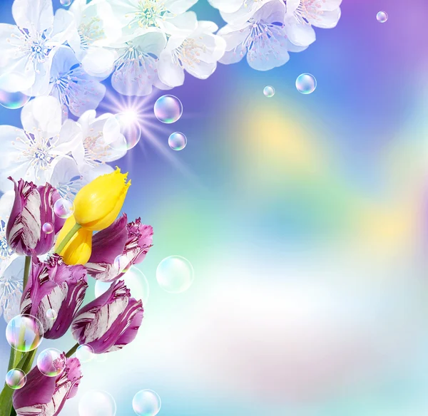 郁金香和白色的花 — 图库照片