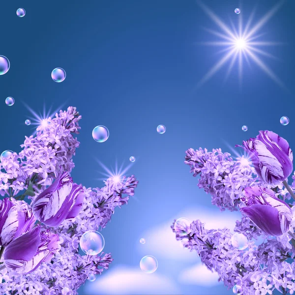 Lilac, tulip and mamgnolia — Stock Photo, Image