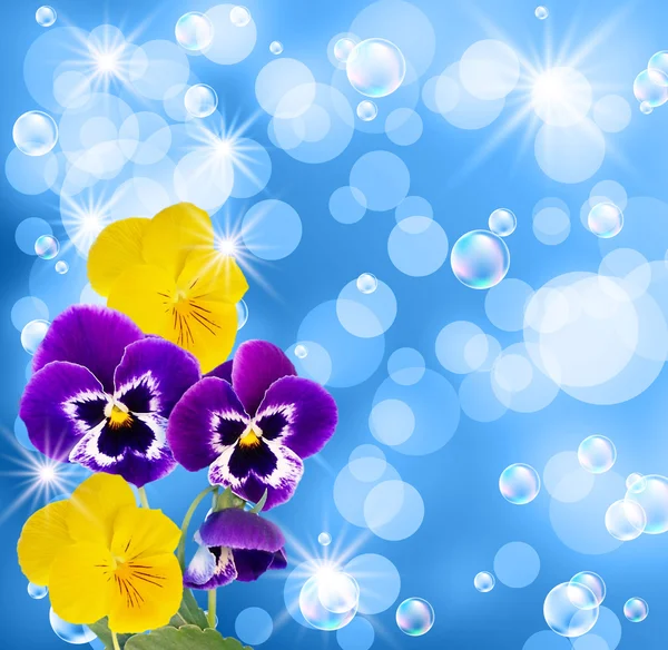 Pansy and bubbles — Stock Photo, Image