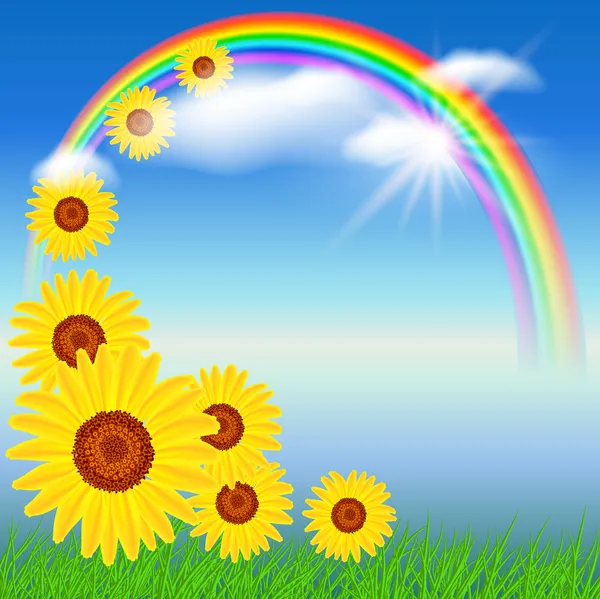 Sunflowers and rainbow — Stock Vector