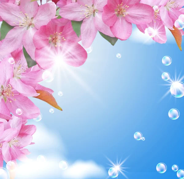 Cartão com flor de pêssego — Fotografia de Stock
