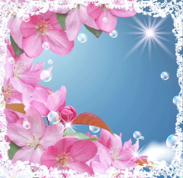 桃の花とカード — ストック写真