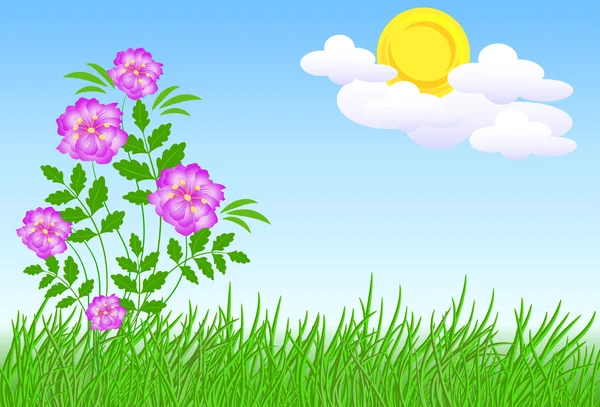 草地上的花朵 — 图库矢量图片
