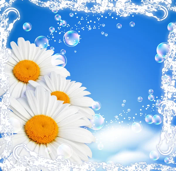 Çiçek ve kelebek şeffaf — Stok fotoğraf
