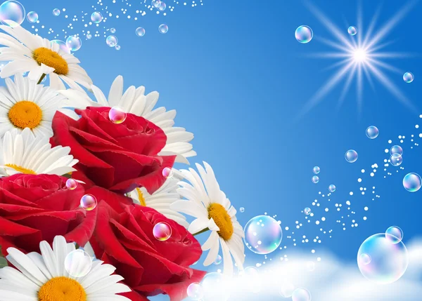 Gänseblümchen und Rosen gegen den Himmel — Stockfoto