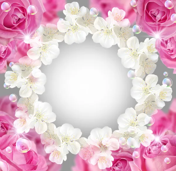 Rozen en witte bloemen — Stockfoto