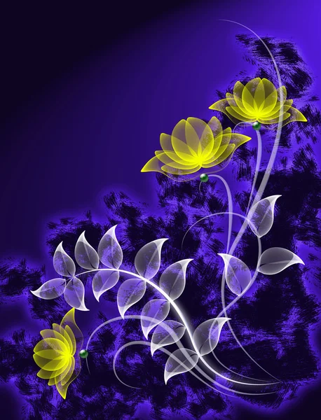 Transparent flowers — Stock Photo, Image