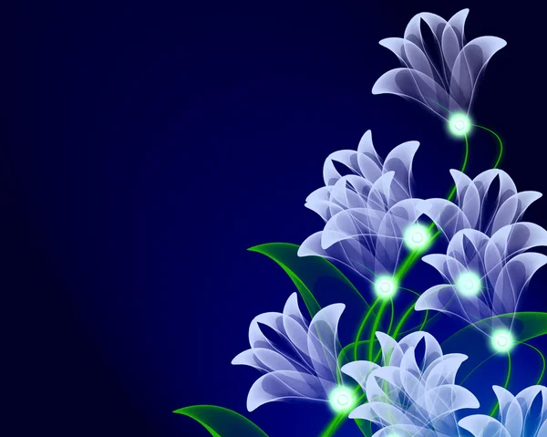 Sihirli şeffaf çiçekler — Stok fotoğraf