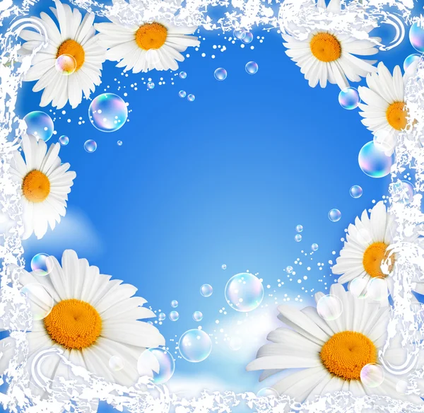 Flores e borboleta transparente — Fotografia de Stock