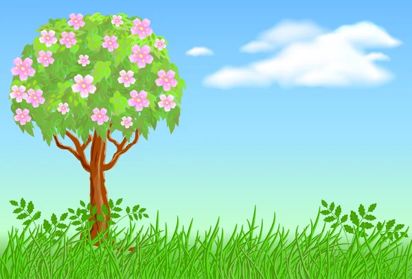 Blühender Baum auf der Wiese — Stockvektor
