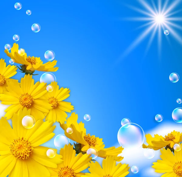 Цветы и пузыри — стоковое фото