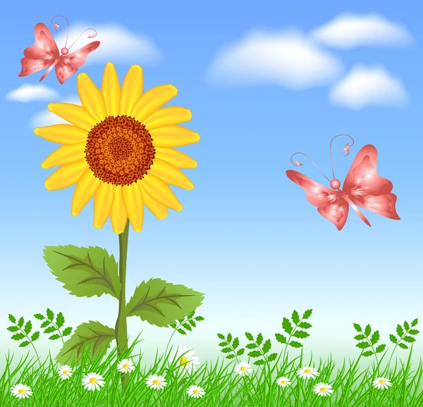 Sunflowers and butterflies — Stock Vector