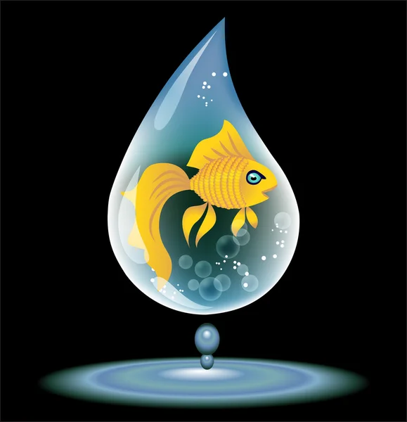Peixe em uma gota de água — Vetor de Stock