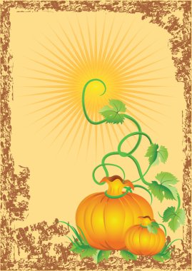 Harvest in the garden clipart