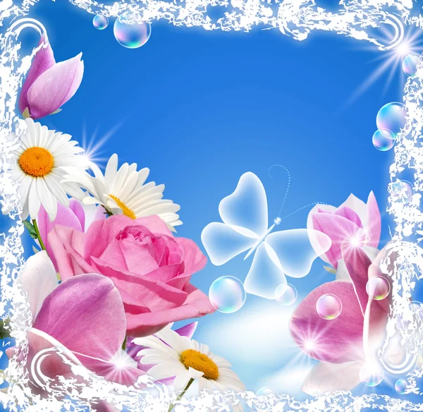 Magnólia, rosa, margarida e borboleta transparente — Fotografia de Stock