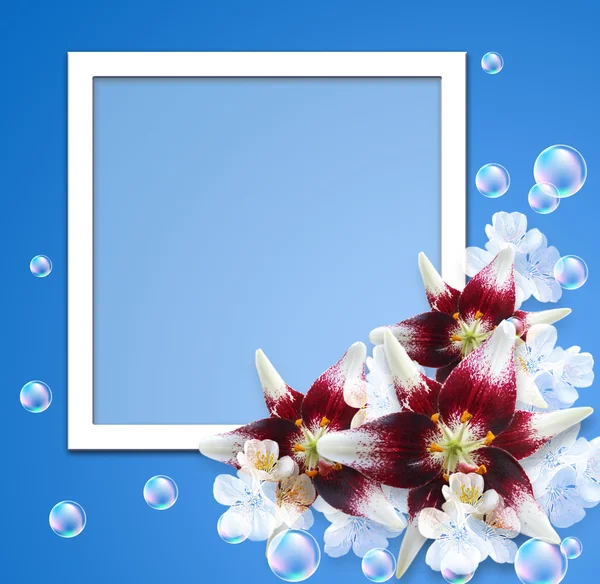 Κρίνος και λευκά λουλούδια — Φωτογραφία Αρχείου