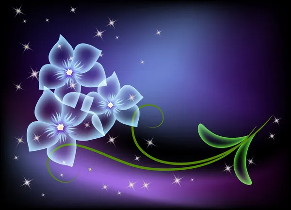 Şeffaf çiçekler ve yıldızlar — Stok Vektör