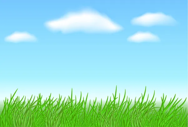 Herbe des prés et nuages — Image vectorielle