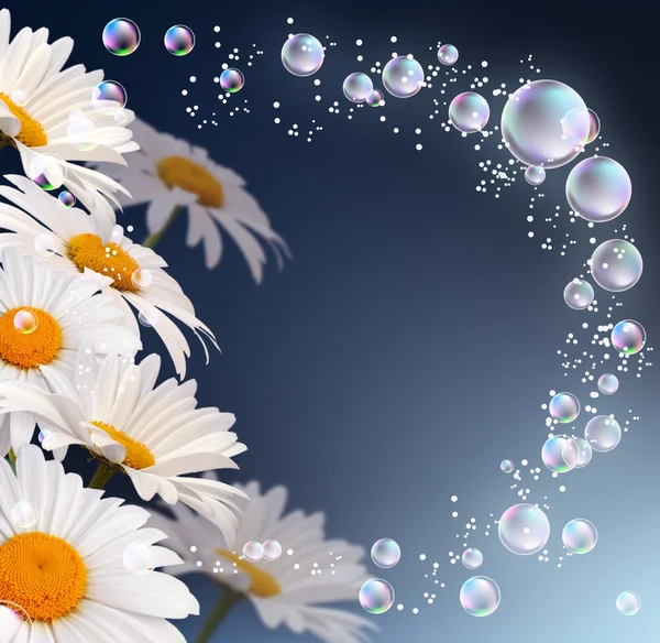 Daisy and bubbles — Stock Photo, Image