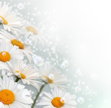 Daisy and bubbles clipart