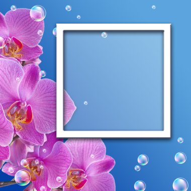 Orchid and photo frame clipart