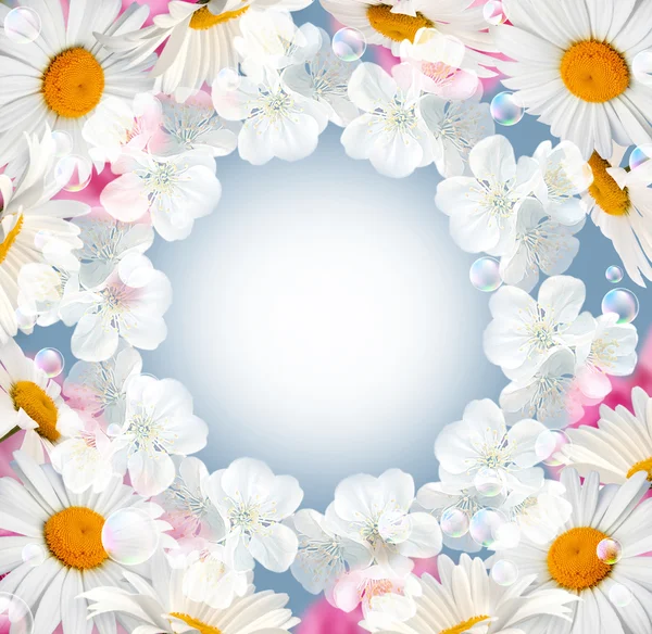 Rosen und weiße Blumen — Stockfoto