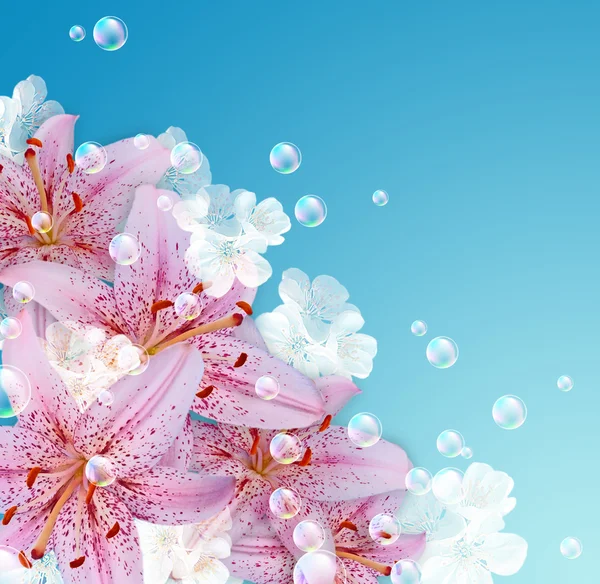 Lily och bubblor — Stockfoto