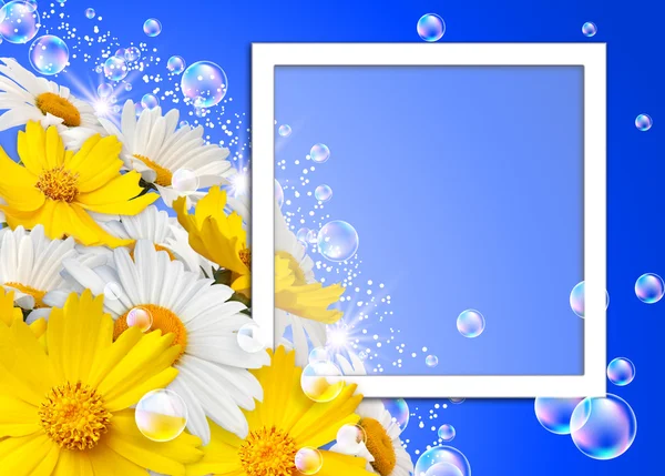 Flowers and photo frame — Stock Photo, Image